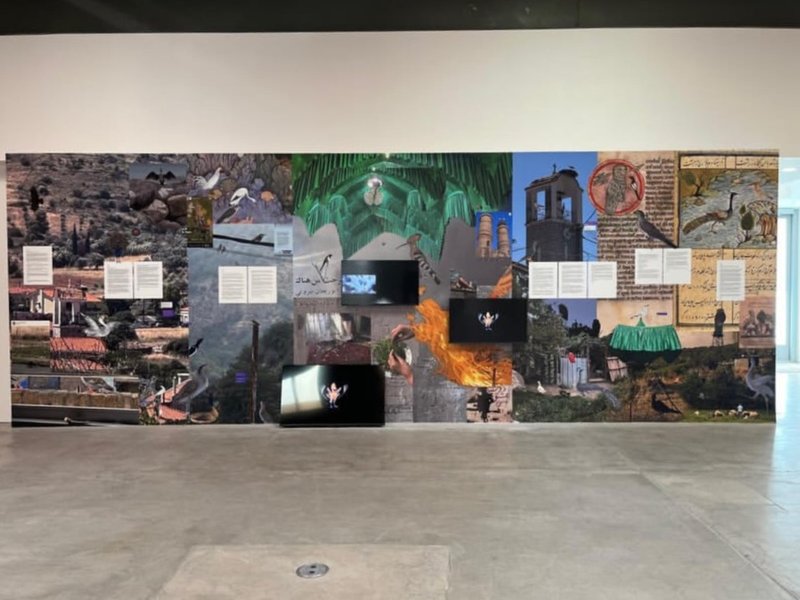 To Share a Stomach, installation view