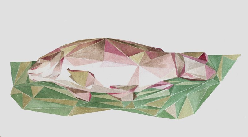 Mirmohamad Fatahi, Untitled, 2018