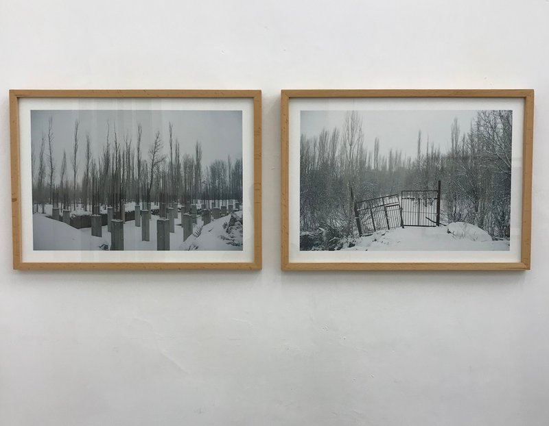 Ag Talent, installation view