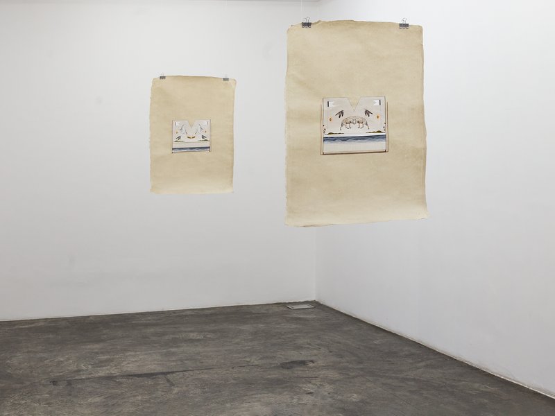 Vexilloid, installation view