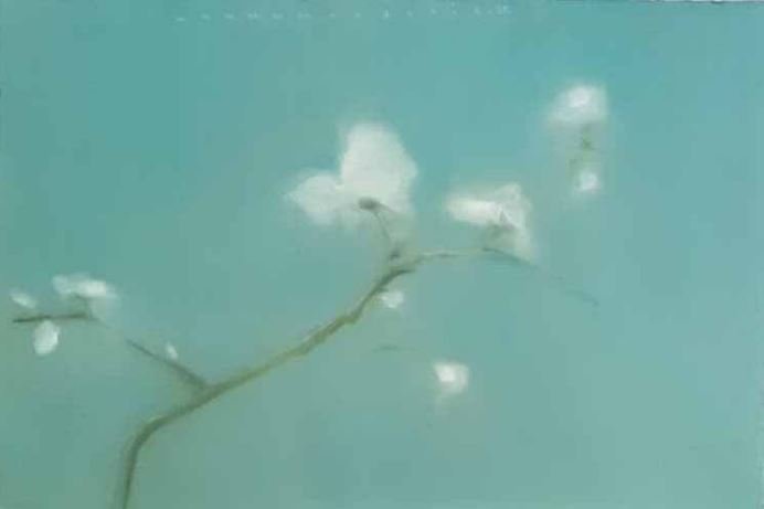 Ashkan Abdoli, Untitled, 2025
