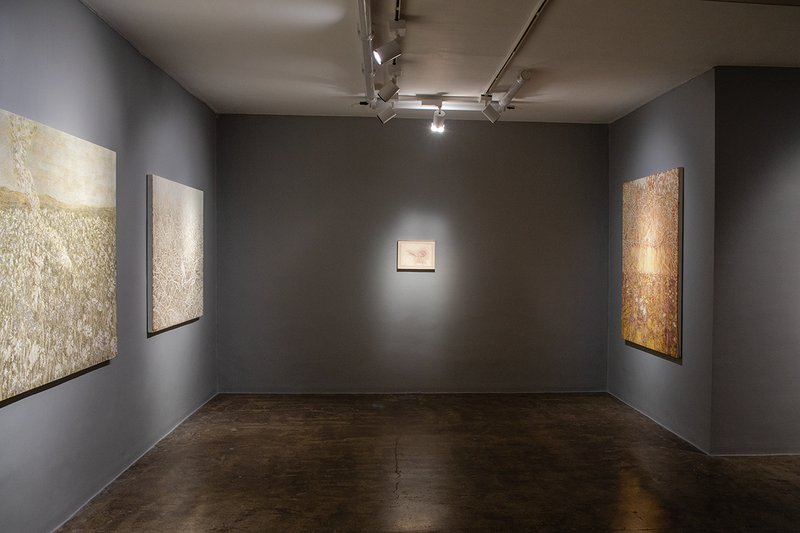 A Duo Exhibition , installation view