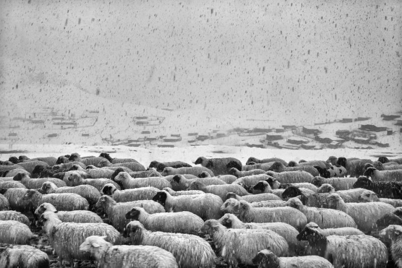 کیارنگ علایی، خالی، 1399