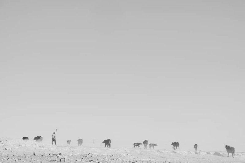سجاد باقری، بدون عنوان