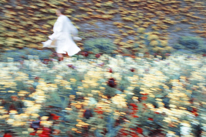 Erik Madaigan Heck, Aberglasney Gardens, The Garden, 2019