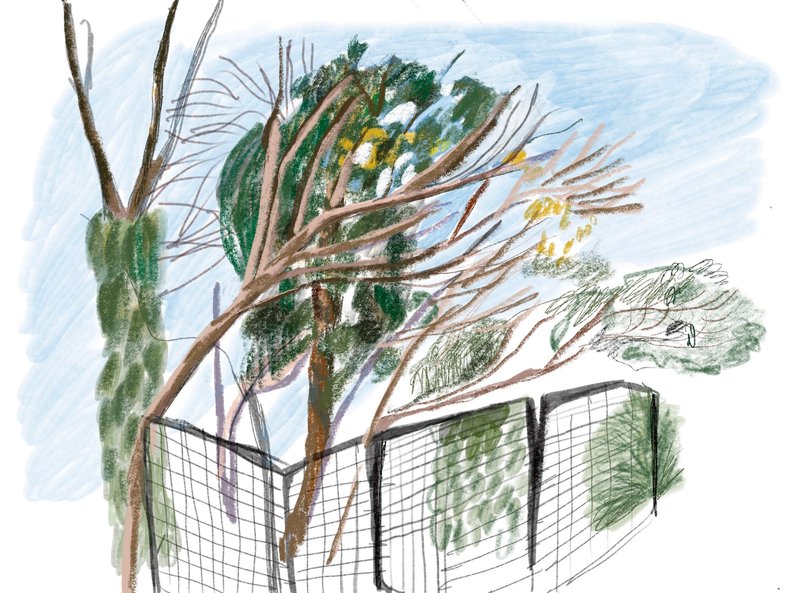 Kimia Dehghan, Blue Windy Sky, 2022