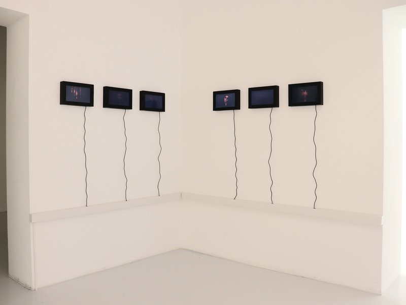 Living Creature, installation view