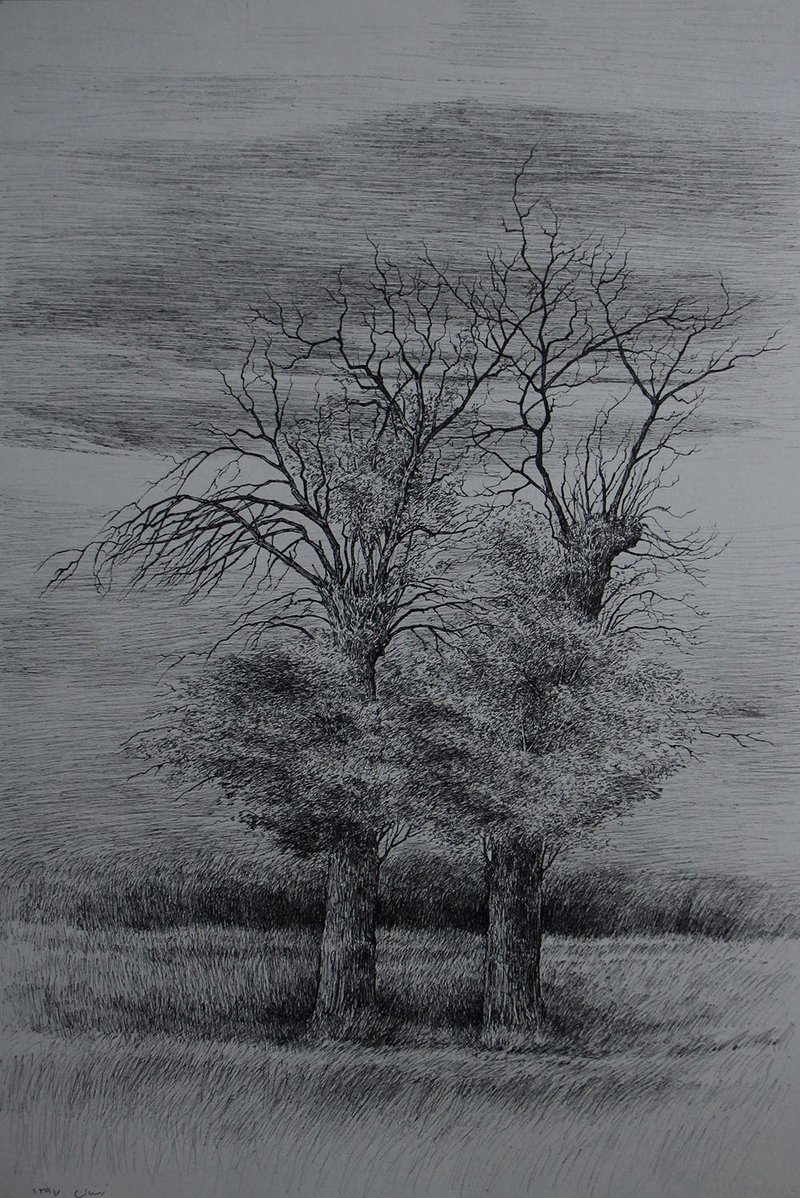 Afsaneh Masaeli, Untitled, 2018