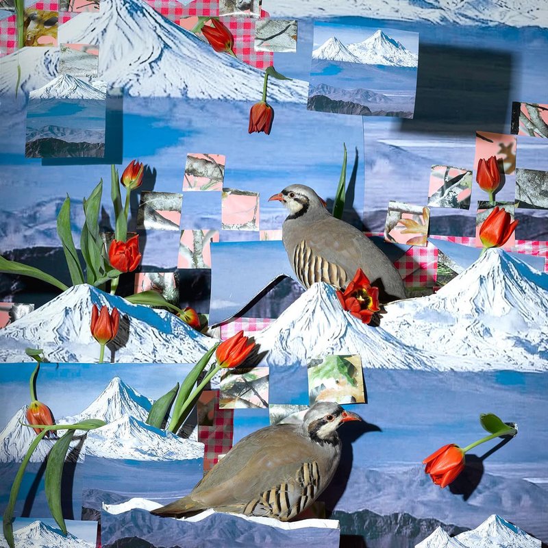 روی دیوار