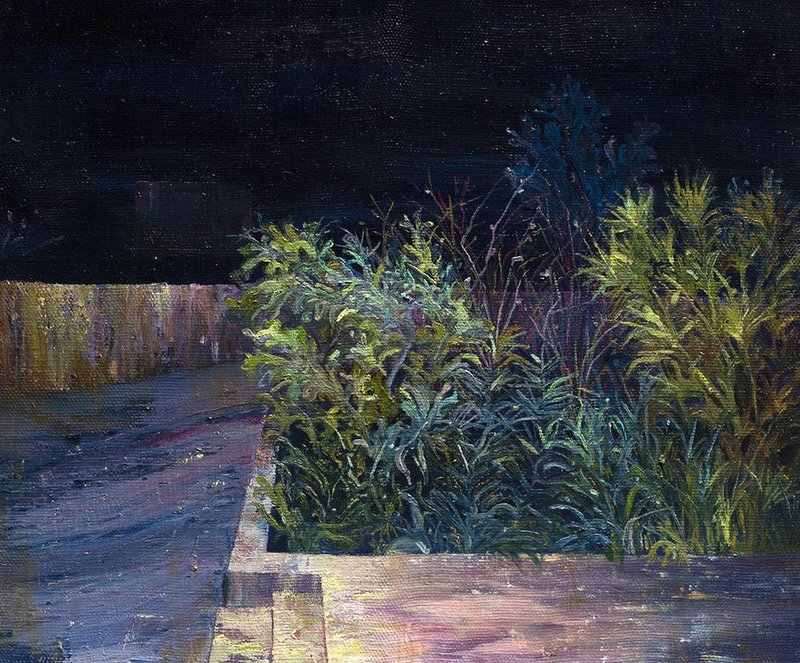Saeed Khaleghi, Untitled, 2020