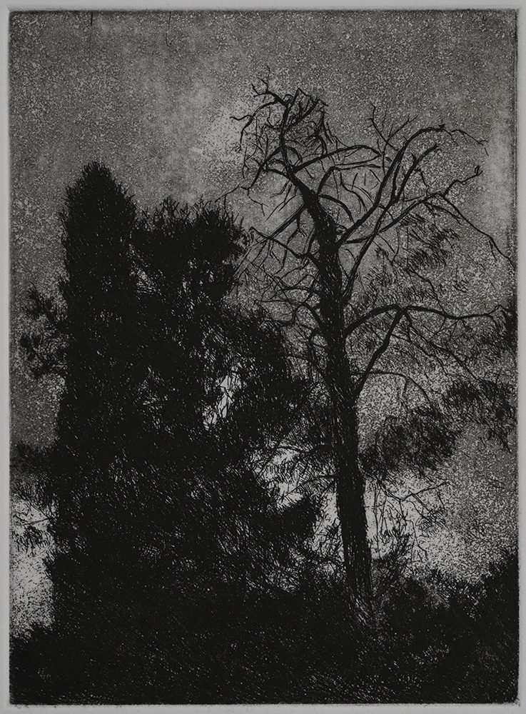 Samaneh Samimi, Untitled, 2021
