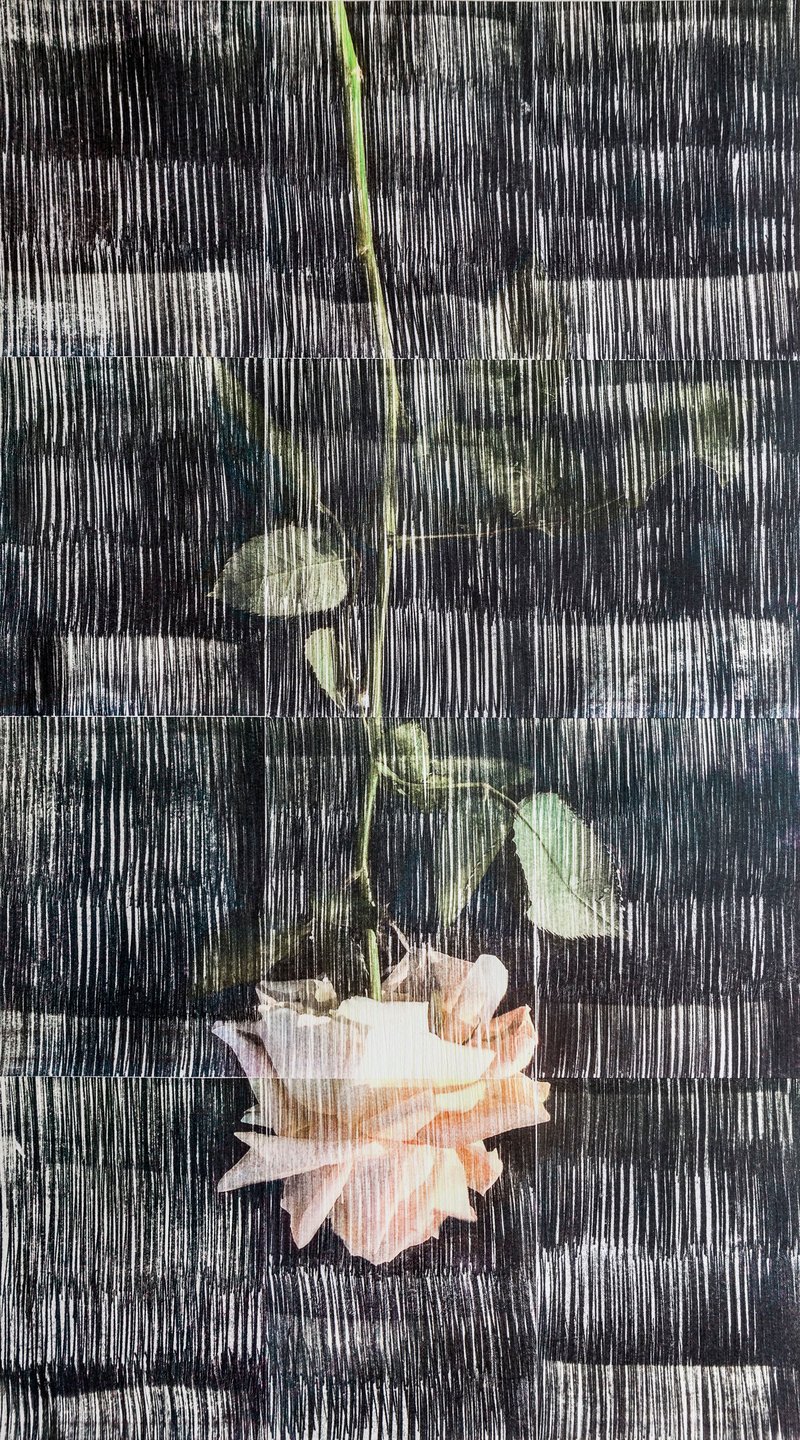 Sasan Abri, Untitled, 2020