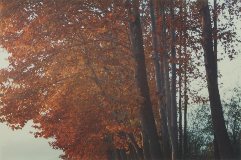 Abbas Kiarostami, Untitled, 2001