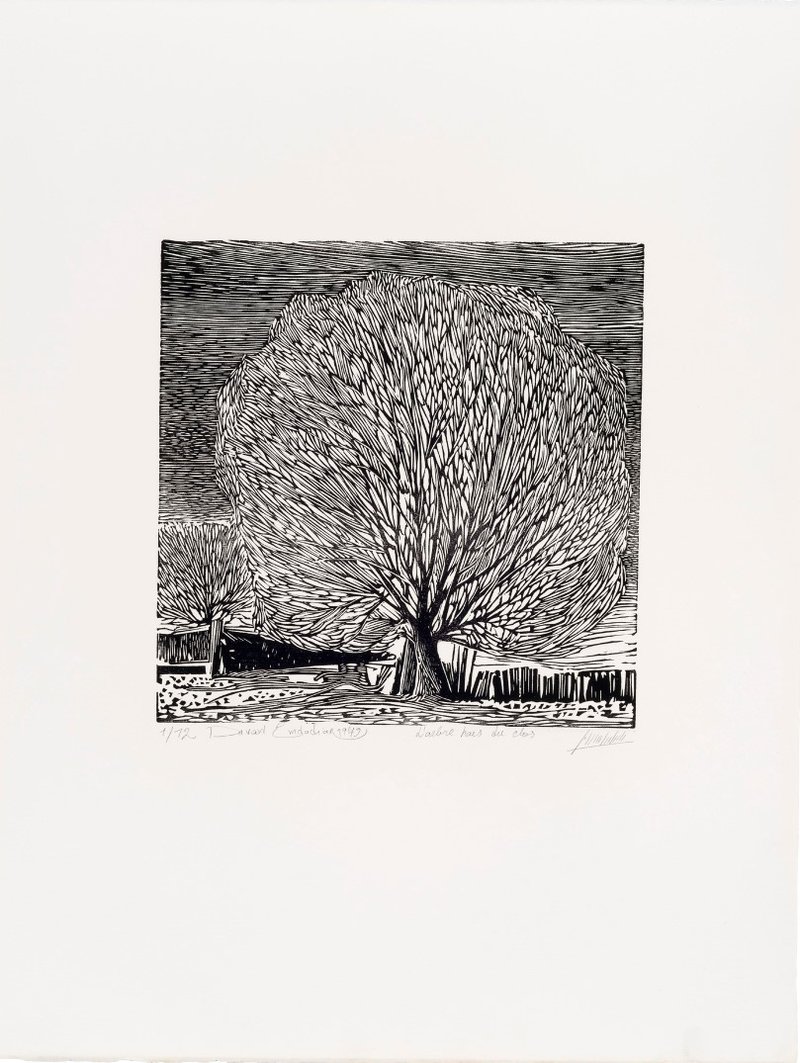 Davood Emdadian, L'arbre Hors du Clos, 1979