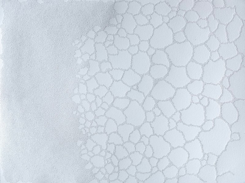 Maryam Khosrovani, Untitled, 2024
