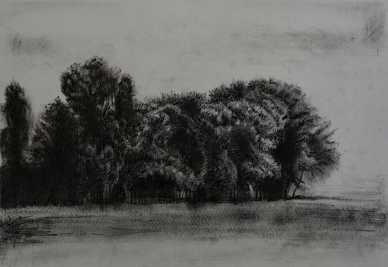 Samaneh Samimi, Untitled, 2020