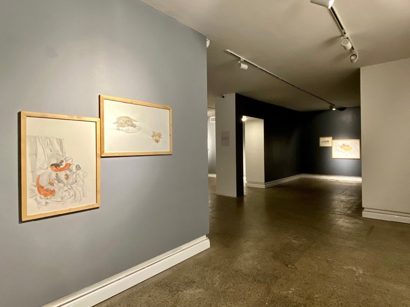 Irreversible, installation view