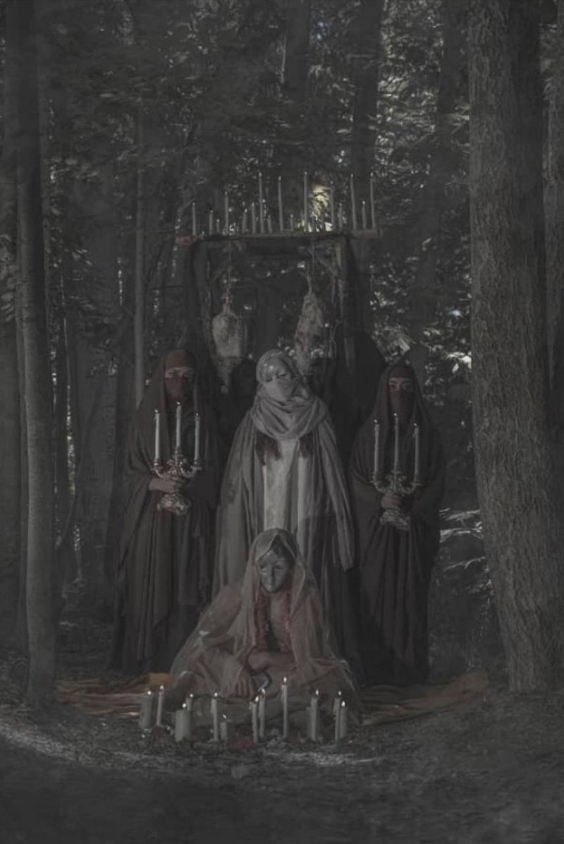 Ali Mojahedi, Untitled, 2023