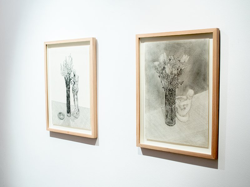 Plants in Continuance, installation view