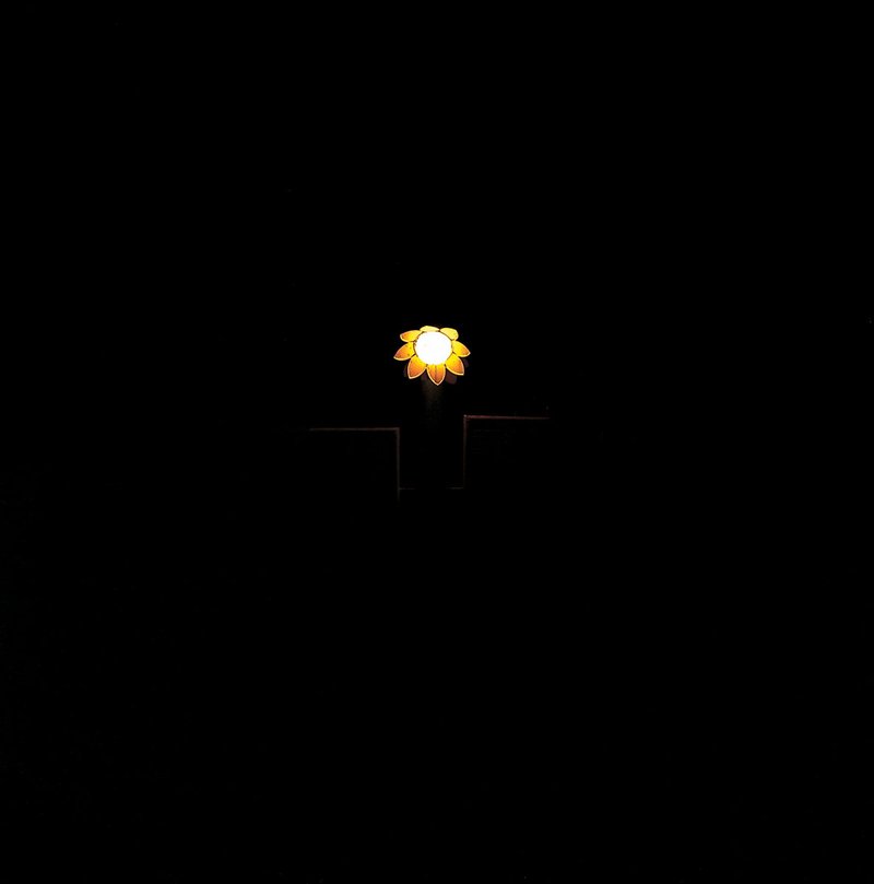 Shahryar Tavakoli, Sun Flower, 0