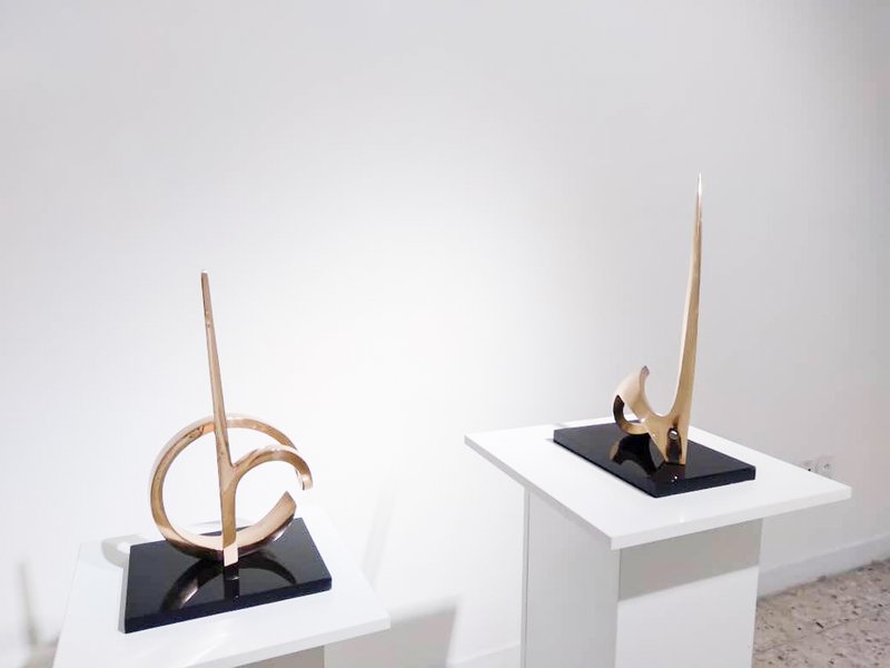 The Animal Illusion, installation view