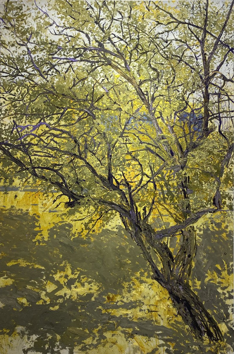Yaghma Sorousheh, Mahdasht trees, 2022
