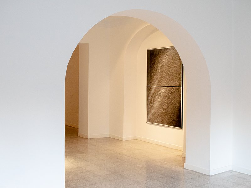 Naturae, installation view