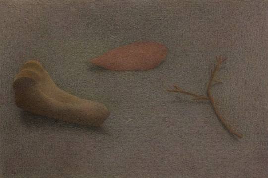 Noyan Farahi, Untitled, 2024