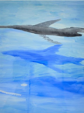 Ala Dehghan, Evolution, 2011