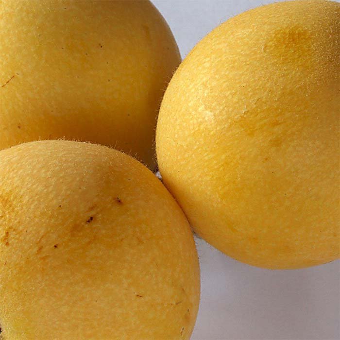 میوه های 3