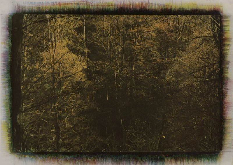 Mehrali Razaghmanesh, Untitled, 2020