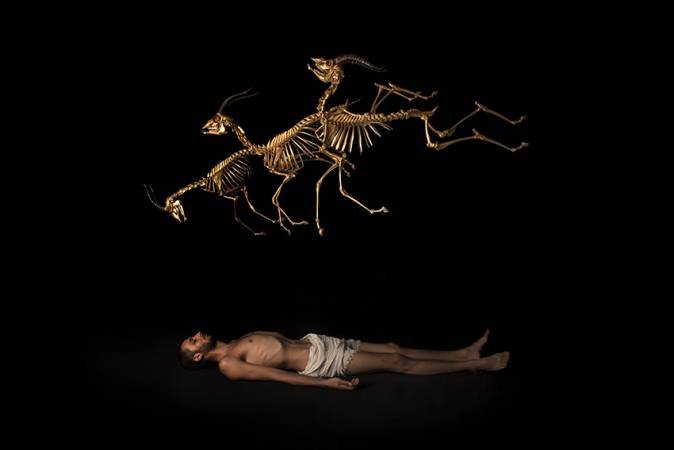 Alireza Memariani, Untitled, 2017