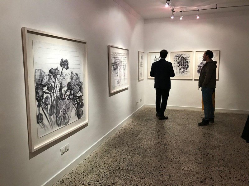 ناقصی بی انتها، نمای چیدمان