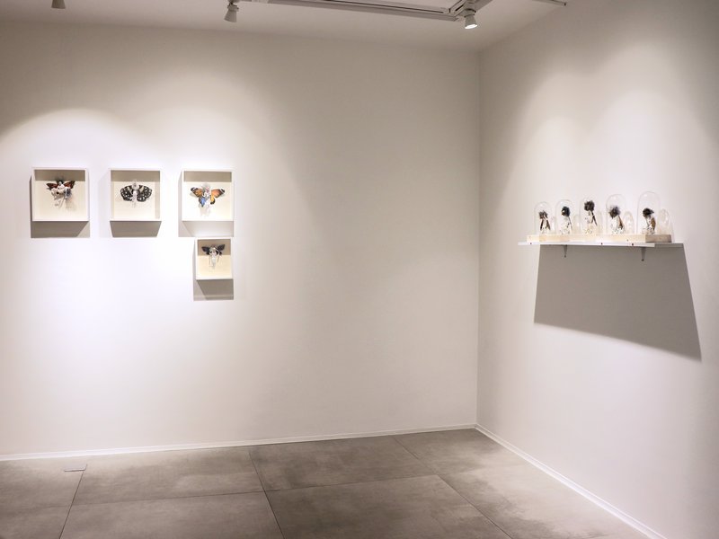 Ego, installation view