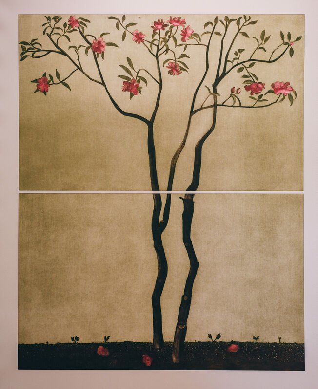 Cliona Doyle, Camellia Japonica, 2022