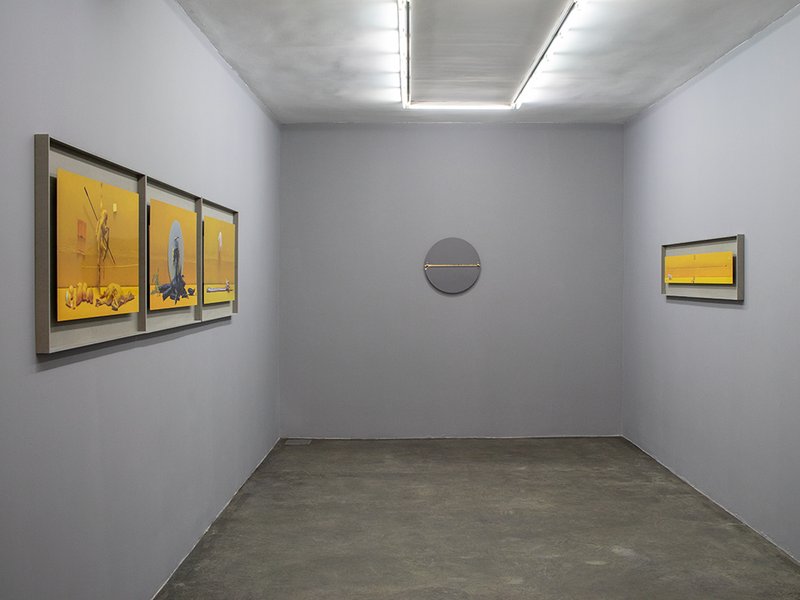 Muse-um, installation view