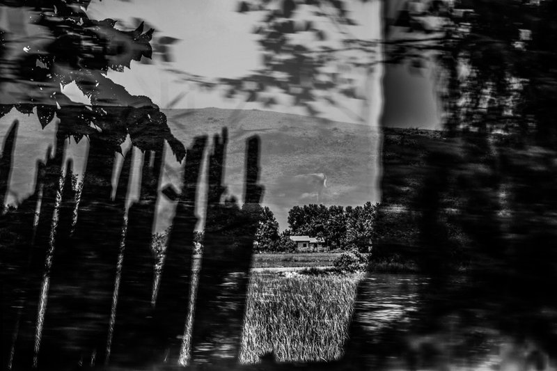 Narges Ranjbar, Untitled, 0