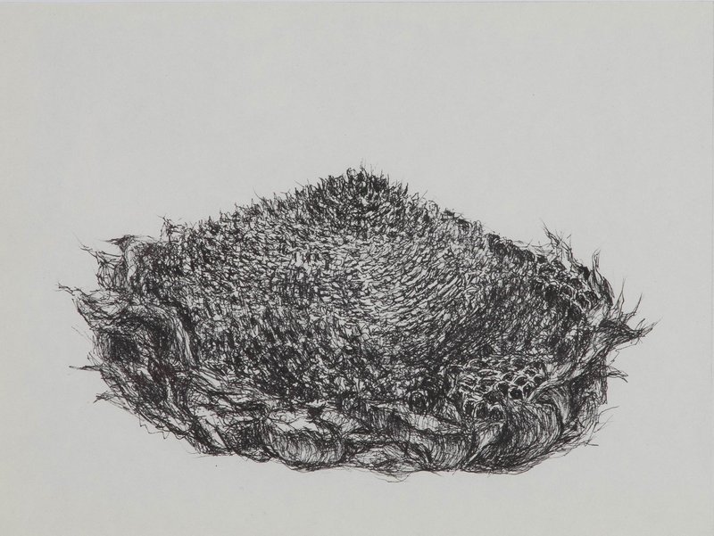 Saemeh Darzi, Untitled, 0