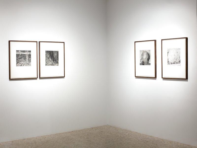 An Exhibition of Two Series of Works By Davood Emdadian, installation view