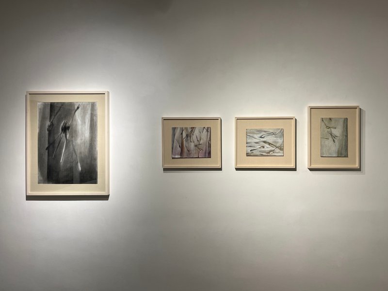 Memories and Forgetting, installation view