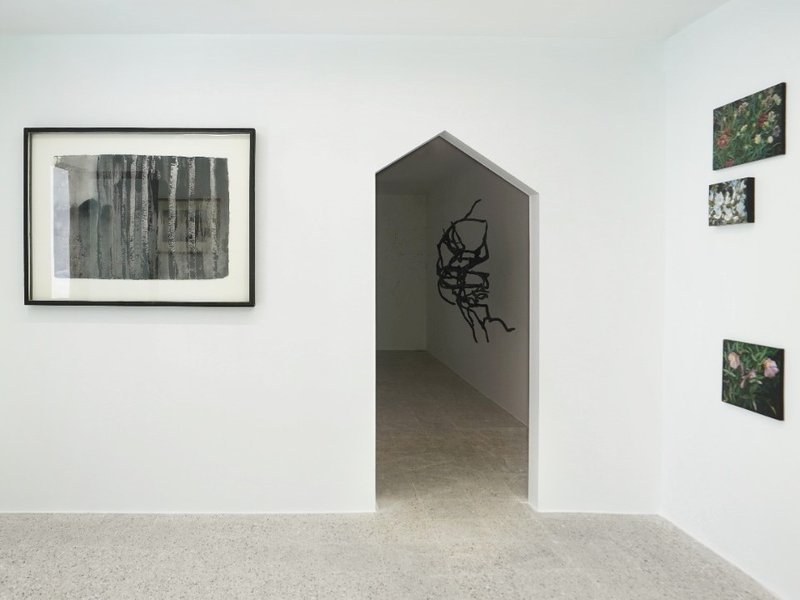 Shaped, installation view