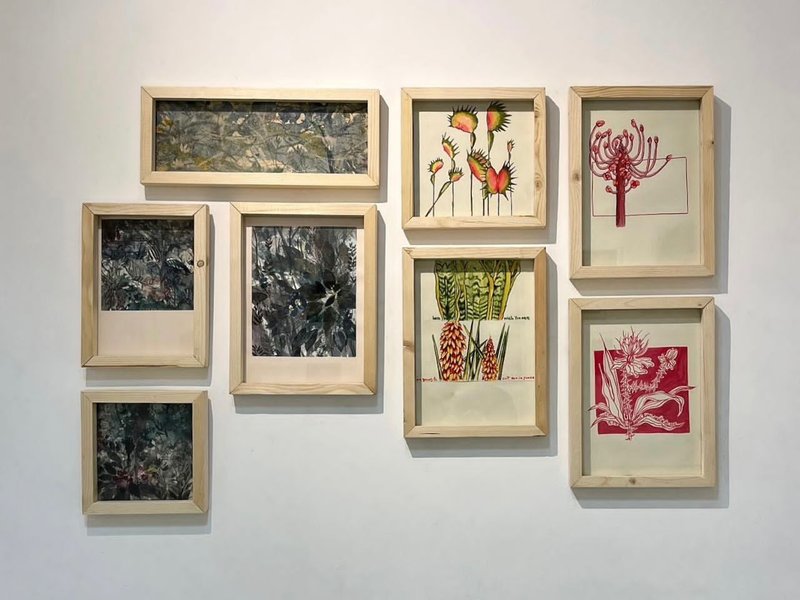 Wild Flowers, installation view