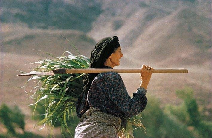 نصرالله کسرائیان، بدون عنوان