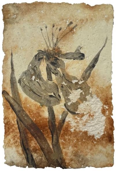 Reyhaneh Afzalian, Untitled, 2026