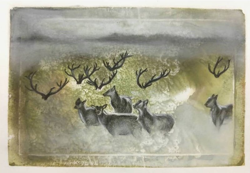Leila Refaahi, Untitled, 0