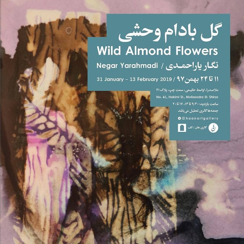 Wild Almond Flowers