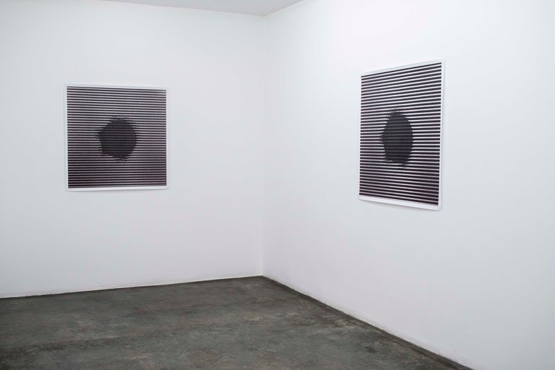 Soft Matter, installation view