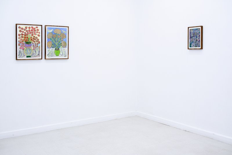 Domesticated Flowers, installation view