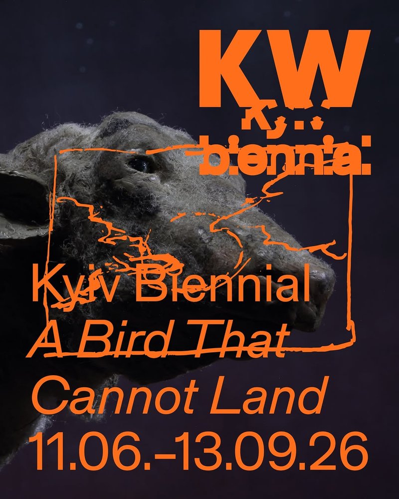 A Bird That Cannot Land