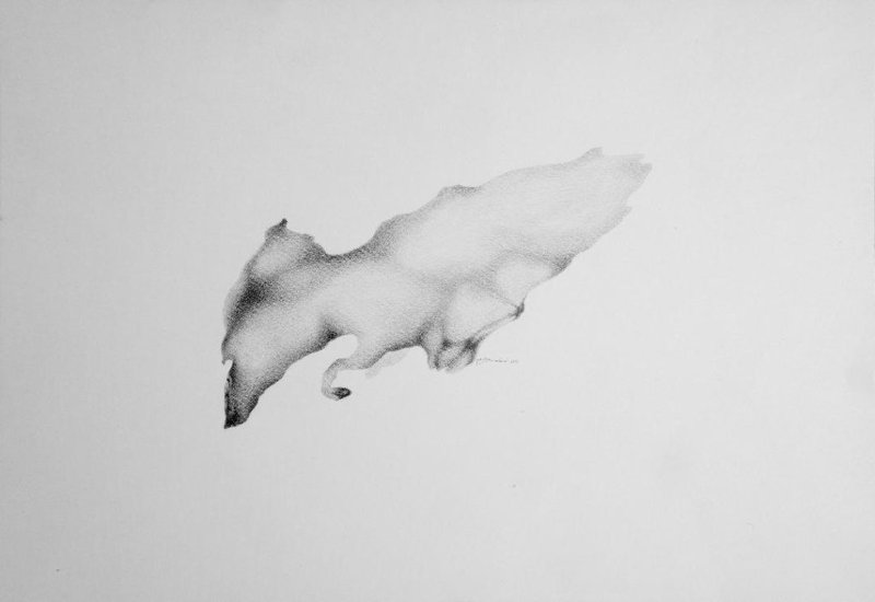 Mitra Valaei, Untitled, 2013